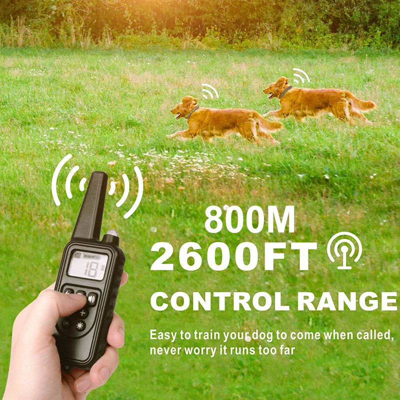 Anti-Bark Waterproof E-Collar For Dogs