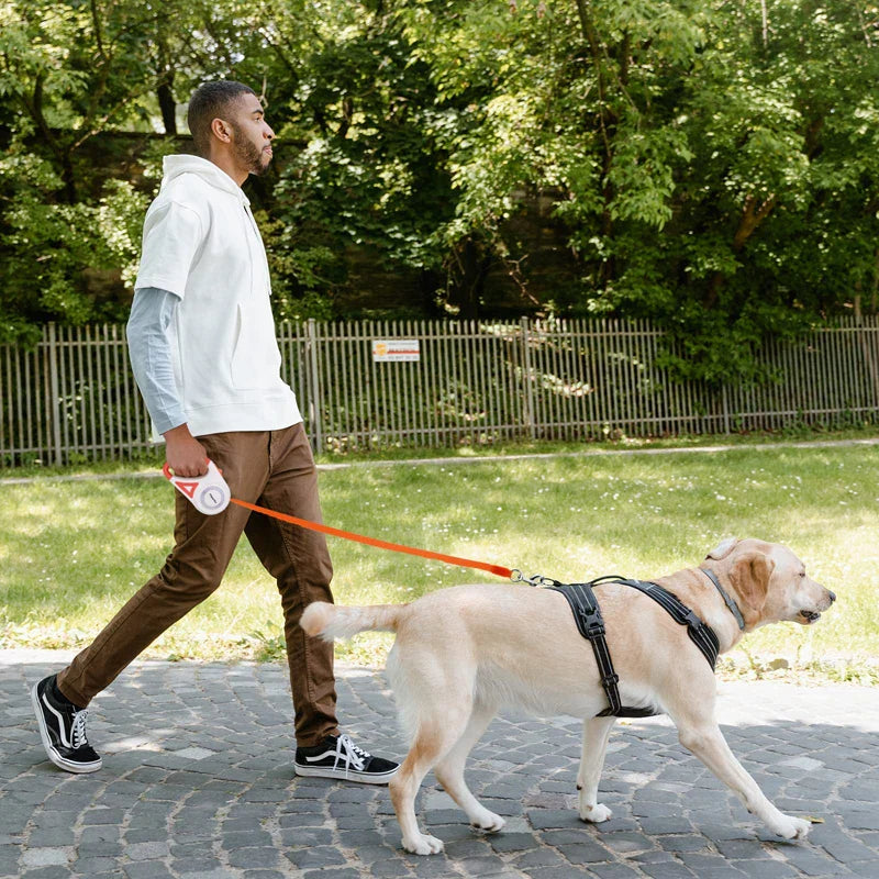 LED Retractable Dog Leash for All Breeds