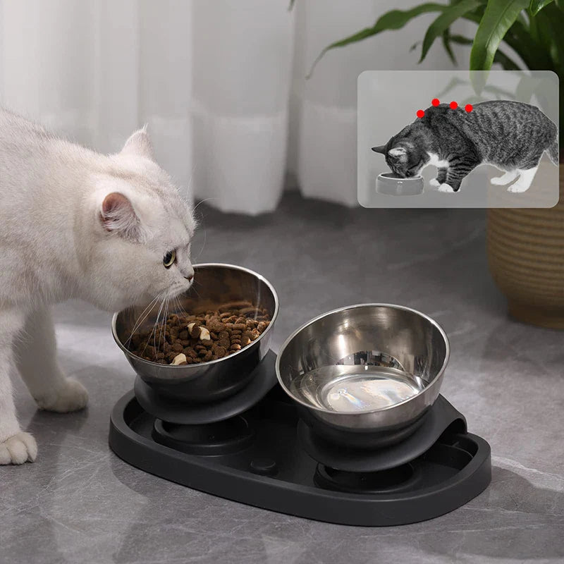 Elevated Stainless Steel Cat Feeder
