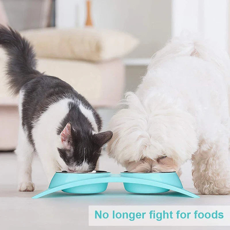 Elevated Double Dog Bowl with Stand