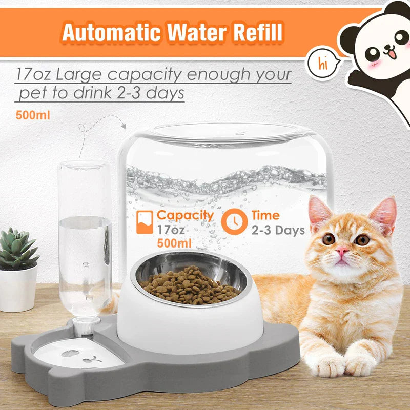 Stainless Steel Raised Pet Food & Water Bowl Set