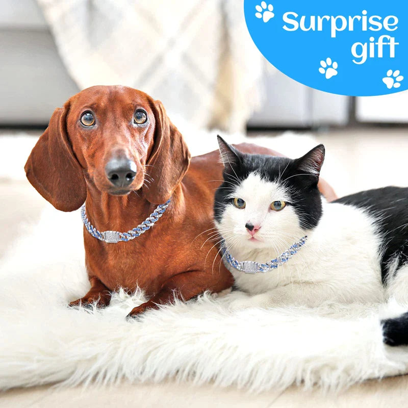 Sturdy Diamond Dog Chain Collar