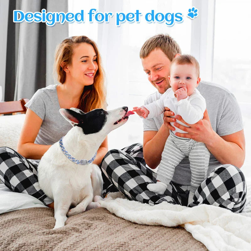 Sturdy Diamond Dog Chain Collar