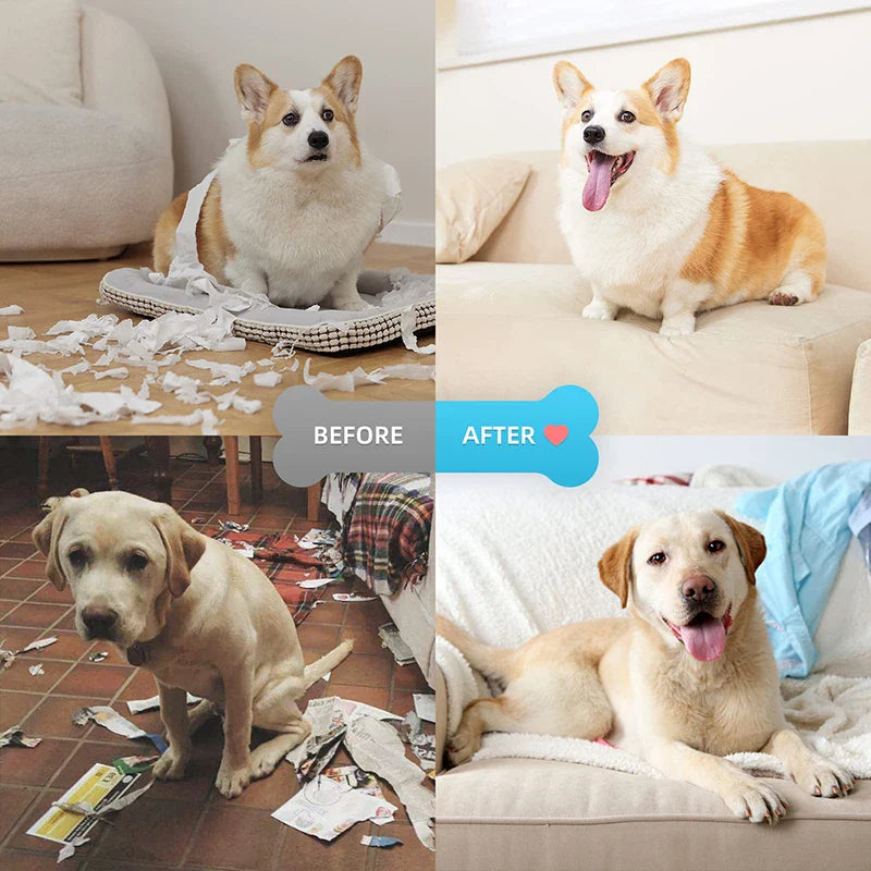 Professional Ultrasonic Dog Repeller