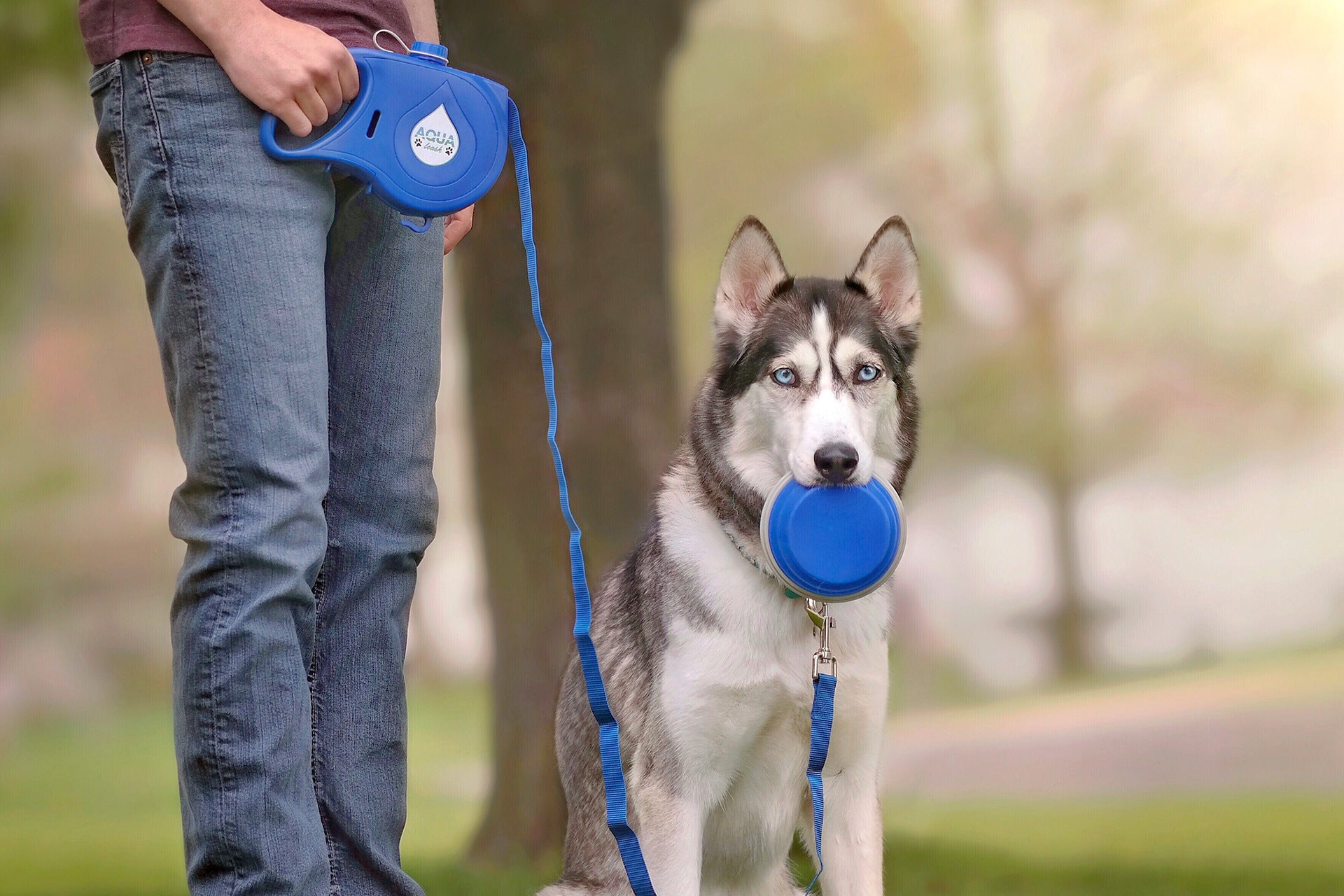 Multifunctional Pet Traction Rope with Kettle Aqua Leash
