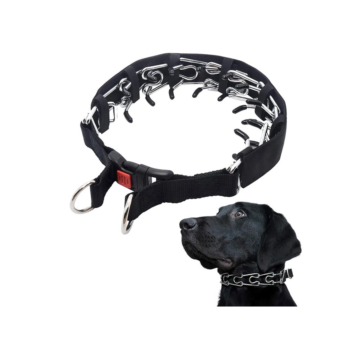 Pinch collar reviews best sale