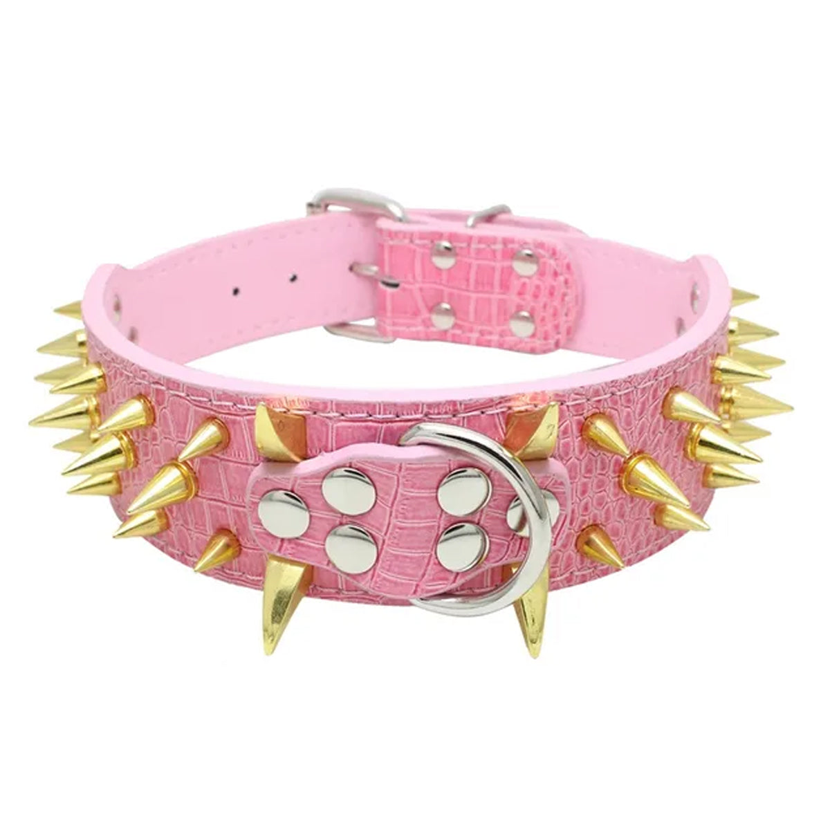 Spike Pet Collar With Hand Holding Rope