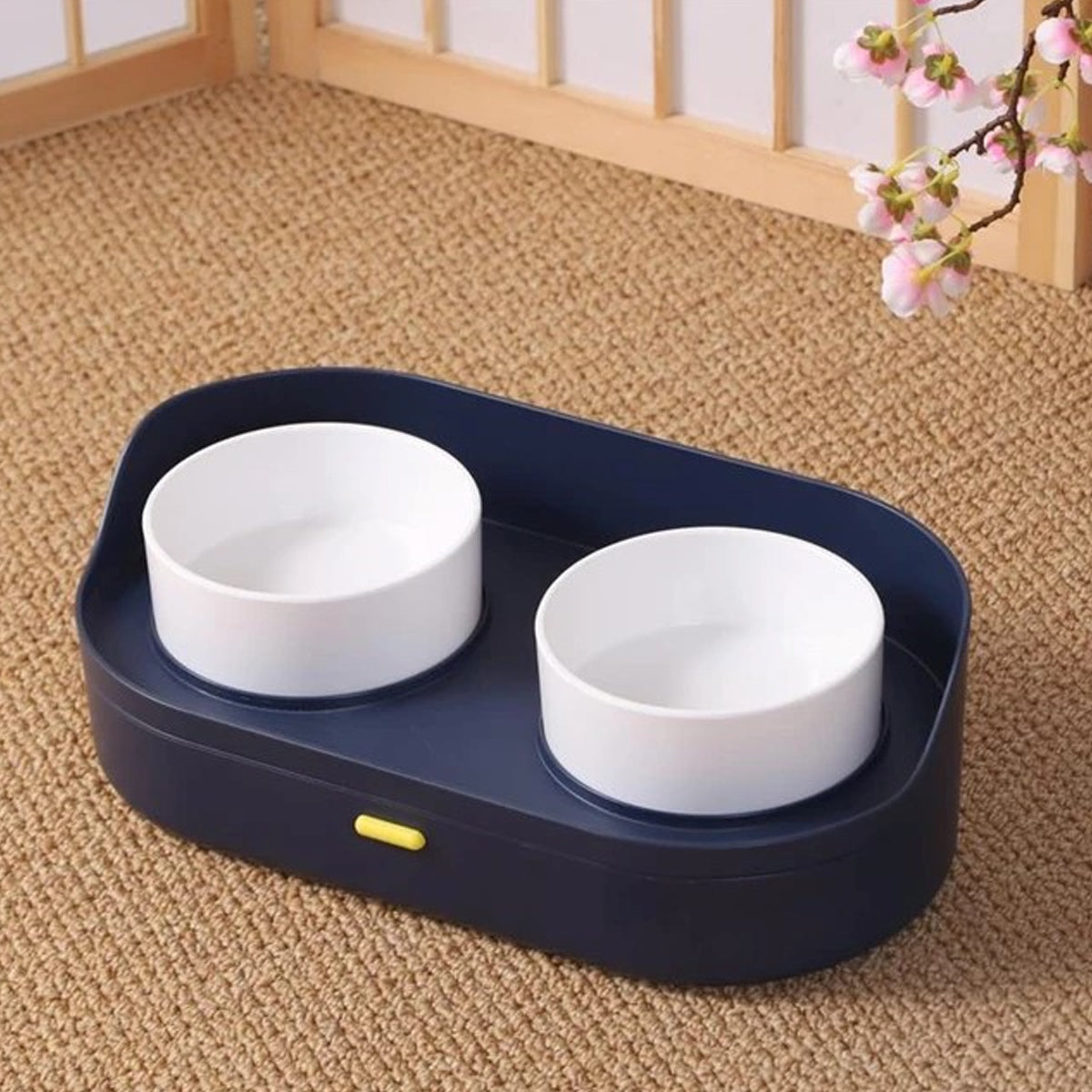 Elevated Dog & Cat Bowls