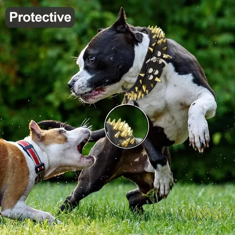 Spike Pet Collar With Hand Holding Rope